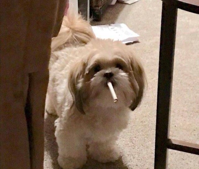 Фотоподборка четверга  