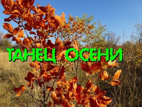 Танец Осени! Видео!