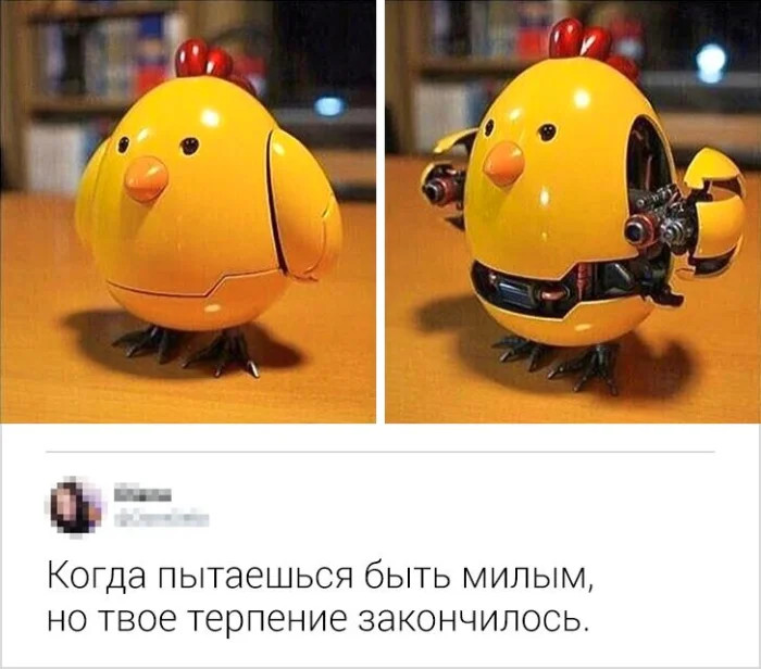 Смешные комментарии, которые словно острый соус приправляют сам пост Смешные комментарии, которые словно острый соус приправляют сам пост