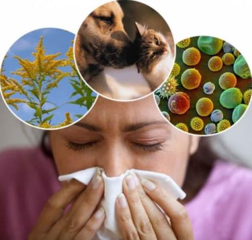 От аллергии как лечиться хочу я поделиться: советы от аллергика, которая сама лечит всю семью.