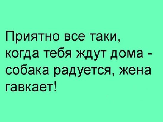 Я тебя добавлю в друзья ВКонтакте... анекдоты