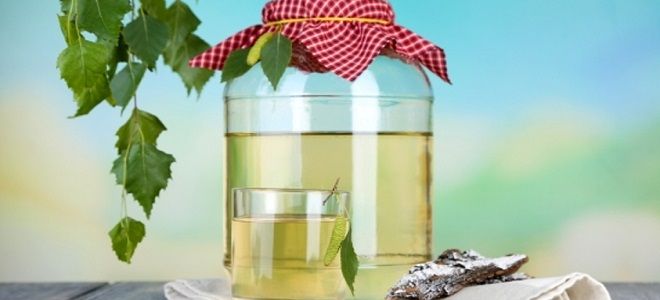 Как приготовить квас в домашних условиях из свеклы, хлеба, березового сока и другие варианты Как приготовить квас в домашних условиях из свеклы, хлеба, березового сока и другие варианты готовим дома,кулинария,напитки,рецепты