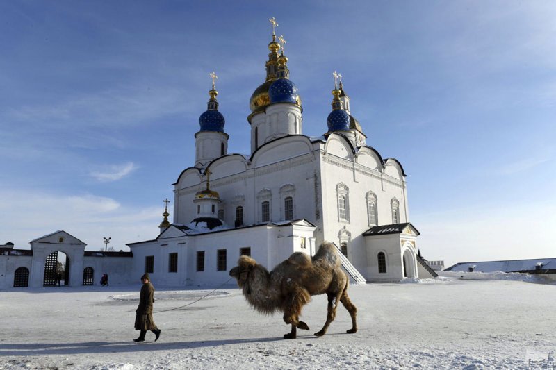 Корабль снежной пустыни © Сергей Русанов / Тюмень Best of Russia, в мире, кадр, конкурс, люди, россия, фото