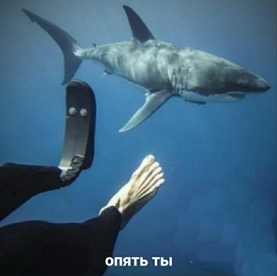 Лучшие короткие шутки в картинках для отличного дня! Лучшие короткие шутки в картинках для отличного дня!