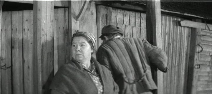 Кира Крейлис-Петрова: вспоминаем гениальную комедиантку Кира Крейлис-Петрова: вспоминаем гениальную комедиантку Звезды