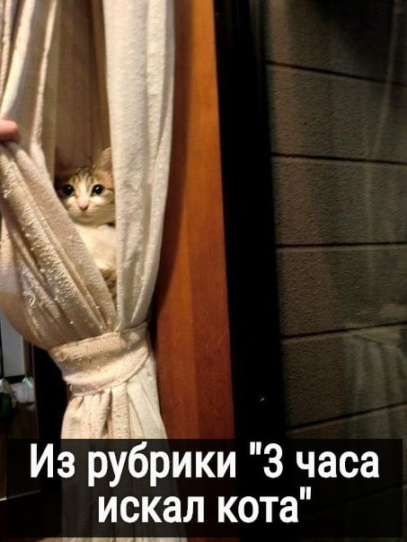 Юмор из интернета 610 Юмор из интернета 610 позитив,смех,улыбки,юмор