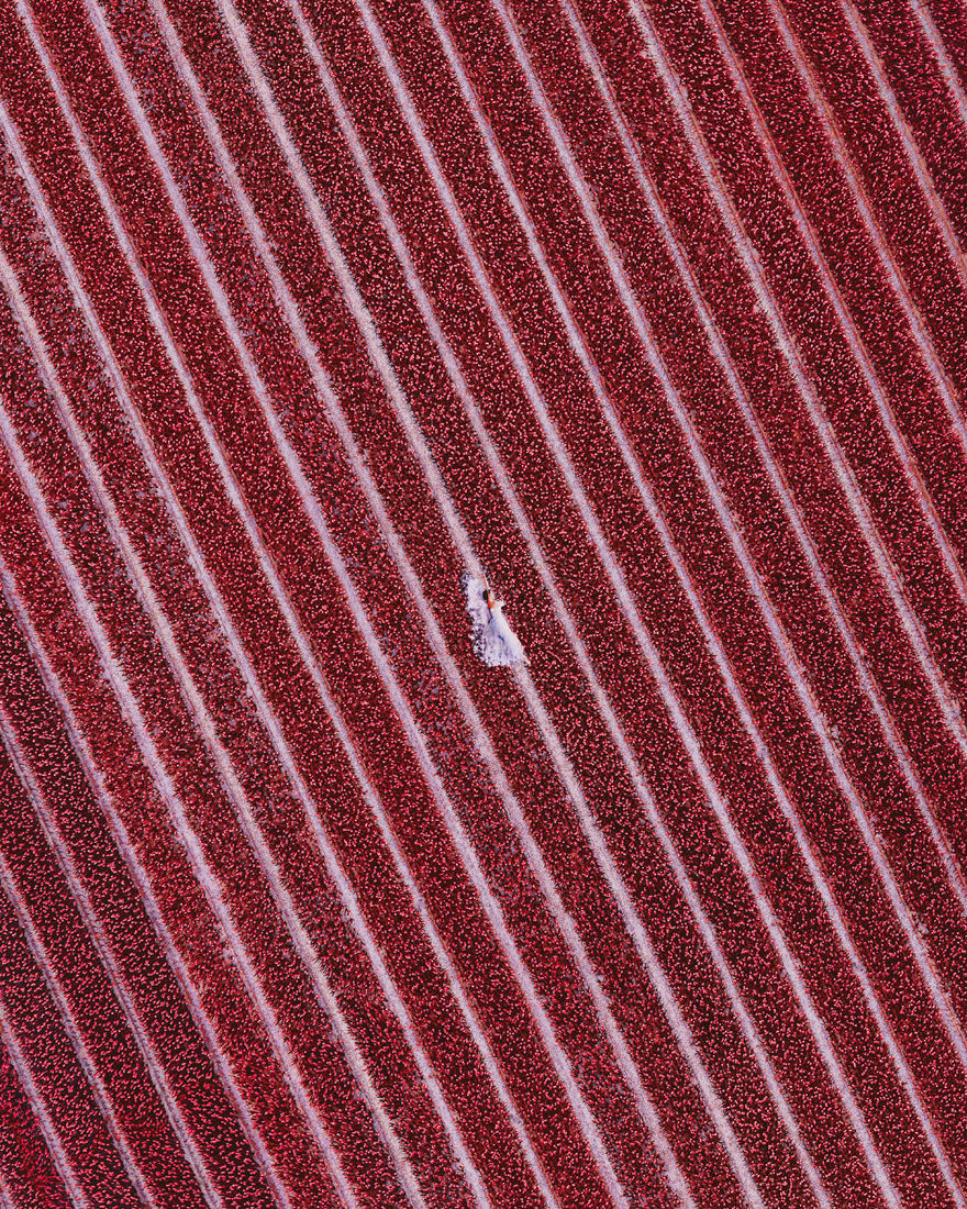 Фотография: Когда сказка становится явью: московская фотохудожница и ее волшебный мир №29 - BigPicture.ru