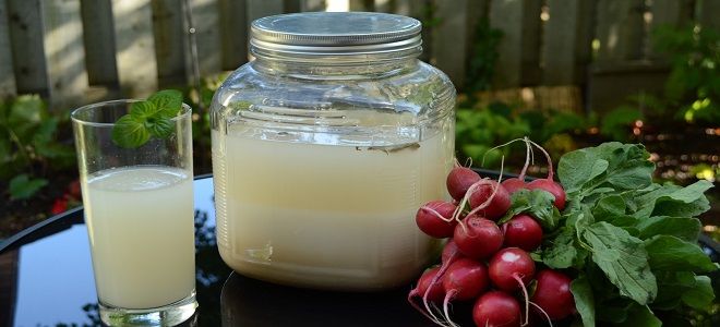 Как приготовить квас в домашних условиях из свеклы, хлеба, березового сока и другие варианты Как приготовить квас в домашних условиях из свеклы, хлеба, березового сока и другие варианты готовим дома,кулинария,напитки,рецепты