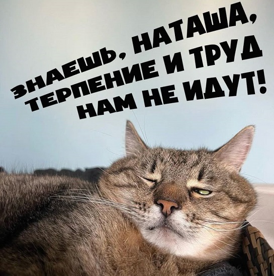 Набрал в поиске 