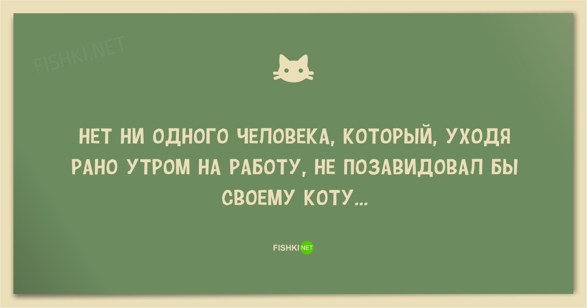 25 смешных анекдотов про кошек и котов