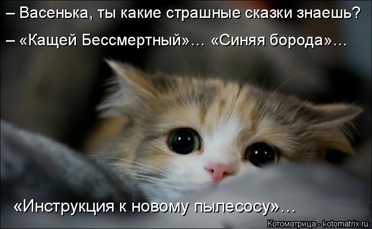 Котоматрица: – Васенька, ты какие страшные сказки знаешь? – «Кащей Бессмертный»… «Синяя борода»… «Инструкция к новому пылесосу»…