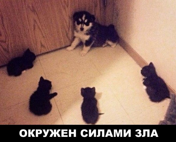 Веселые картинки с надписями на выходные (10 фото)