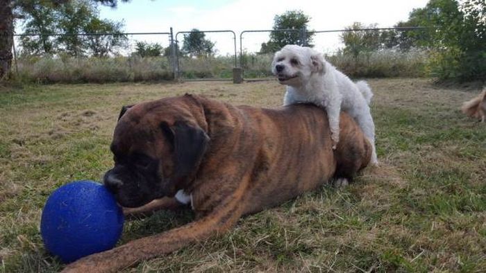 Подборка картинок. Дневной выпуск (55 фото)