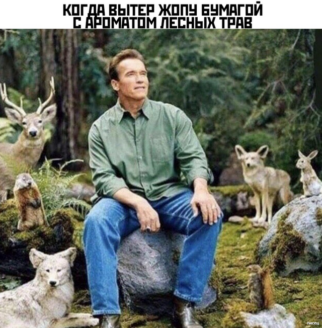 23 офигенных прикола в стиле «Когда...» 23 офигенных прикола в стиле «Когда...» смешные картинки