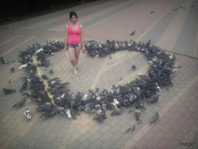 Нежных чувств пост Нежных чувств пост смешные картинки