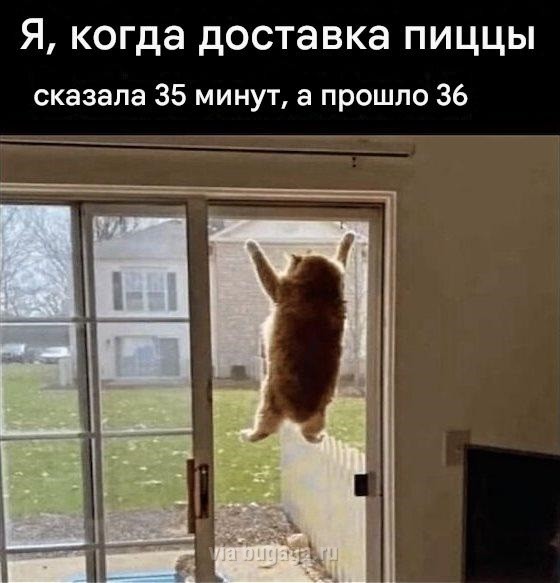 Не важно, с какой ноги ты встал. Главное, не на кота... Не важно, с какой ноги ты встал. Главное, не на кота...