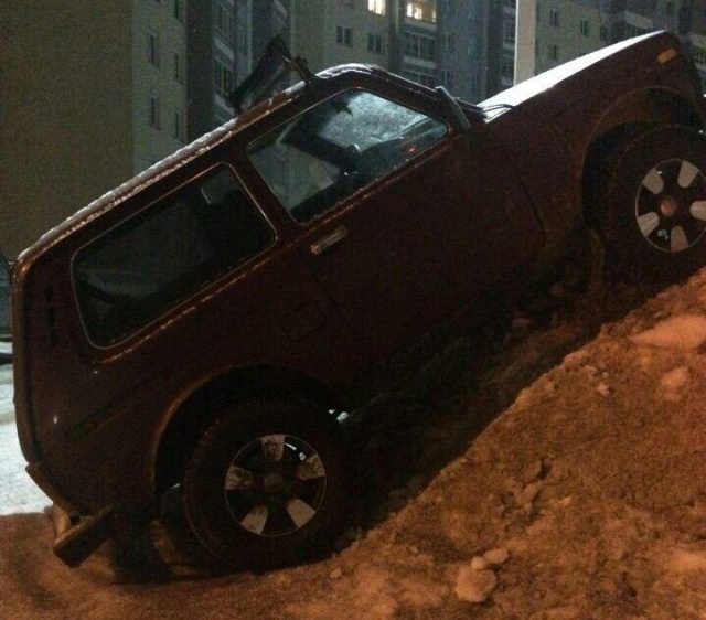 Подборка прикольных картинок  смешные картинки