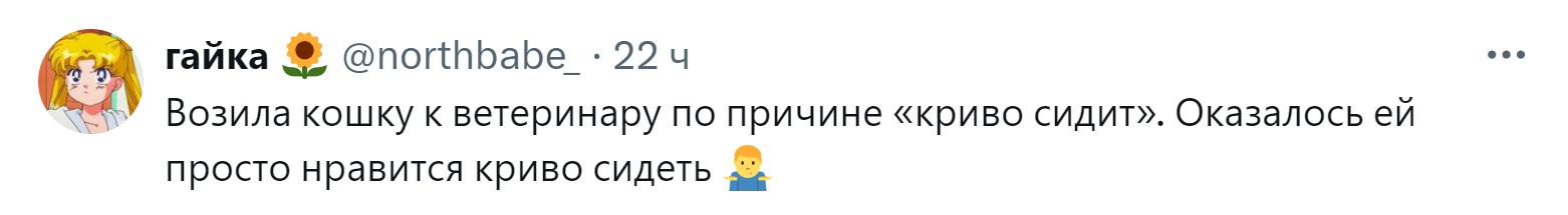 «Новообразование оказалось пупком»: 15 забавных причин, зачем питомцев возили к ветеринару правда, нужно, чтобы, кошки, совершенно, случае, возили, животных, животное, может, можно, своих, просто, узнать, ветеринару, внимание, Другое, Иногда, хозяин, начнёт