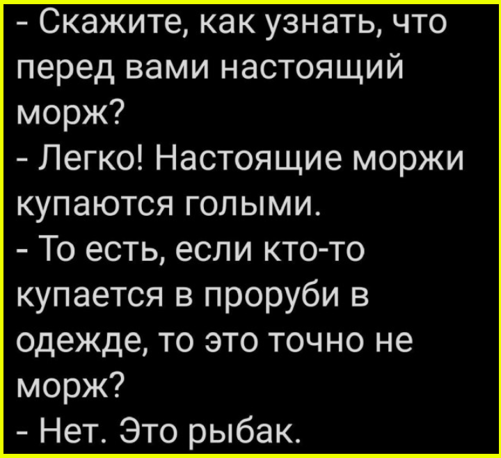 Юмор на сон грядущий в пятницу 