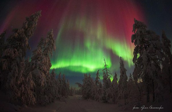 Прекрасные мгновения полярного сияния (12 фото)