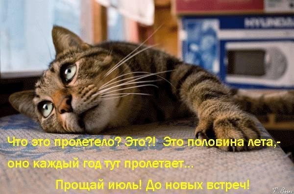 Лучшие короткие шутки в картинках для отличного дня! Лучшие короткие шутки в картинках для отличного дня!