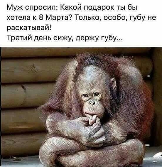 - Алло, это компания 