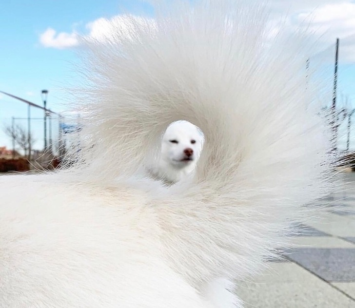 20+ фото, которые больше похожи на фейк, но они настоящие