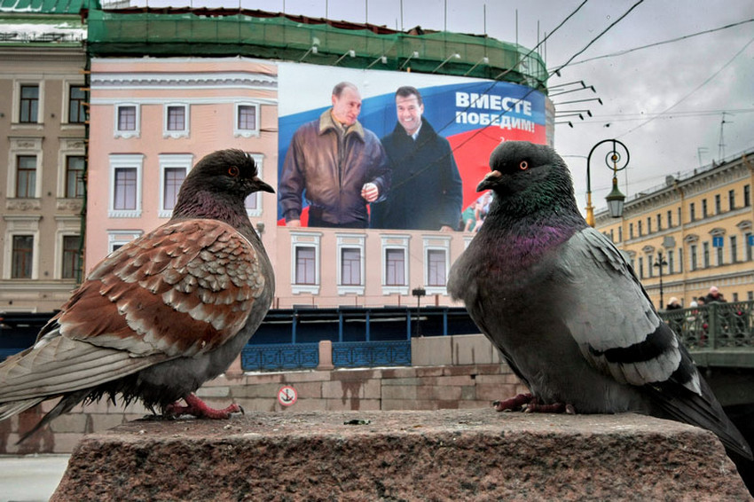 уличные фотографии Александра Петросяна 50