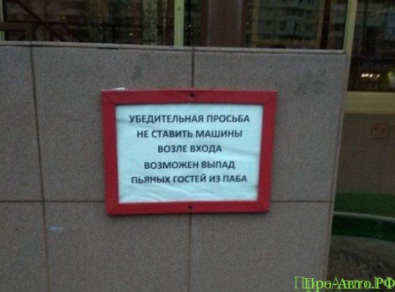Посадил на ночь собаку охранять машину Посадил на ночь собаку охранять машину авто и мото