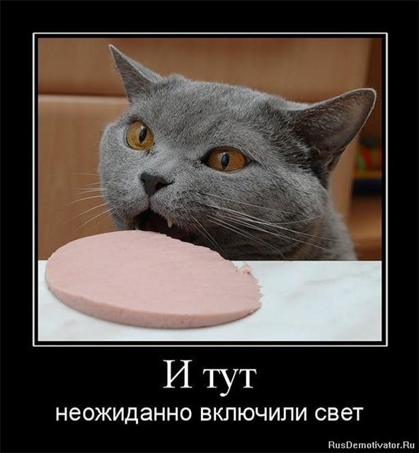 ������� ����� � ����