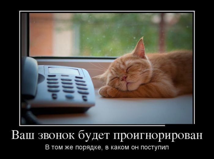 Демотиваторы демотиваторы, прикол, юмор