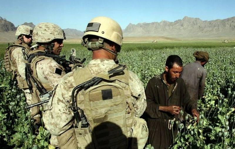 Производство героина в Афганистане выросло в три раза за три года - эксперты