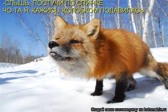 Мысли вслух :)