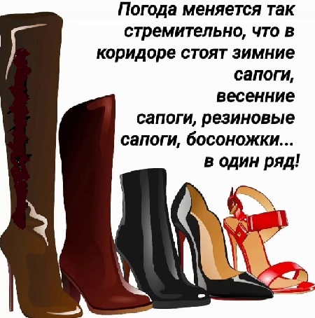 Анекдоты с картинками и баянами Московская обл,[807356]
