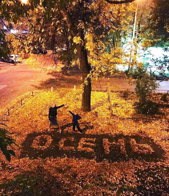 Вот и осень пришла картинки смешные