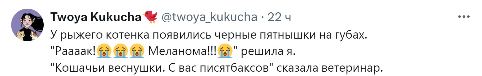 «Новообразование оказалось пупком»: 15 забавных причин, зачем питомцев возили к ветеринару правда, нужно, чтобы, кошки, совершенно, случае, возили, животных, животное, может, можно, своих, просто, узнать, ветеринару, внимание, Другое, Иногда, хозяин, начнёт