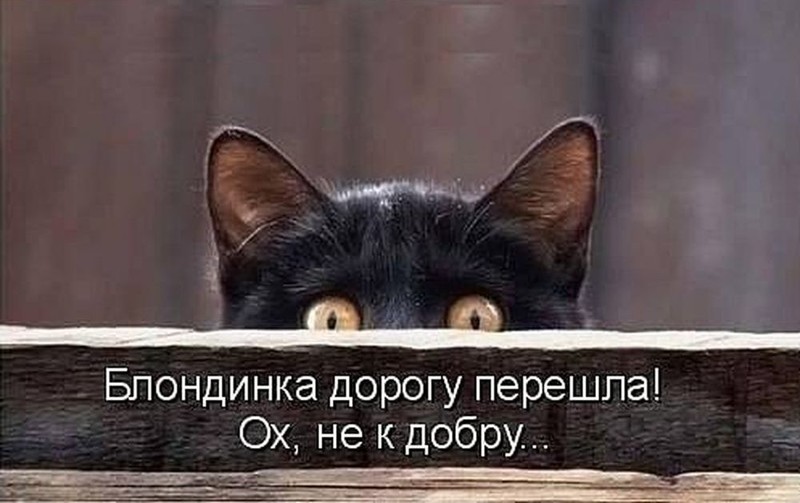 7. пятница 13, соц сети, ужасы, юмор