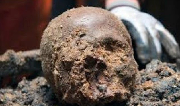 Череп Мано В 2008 году строительная команда выкопала этот череп на севере Израиля. Находка оказалась бесценной для археологов: останки принадлежали неандертальцу. Так удалось доказать, что современный человек имел контакт с этим видом и даже скрещивался с ним.