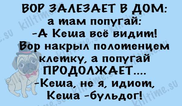 Сидят пенсионерки на лавочке и обсуждают свои болячки... юмор