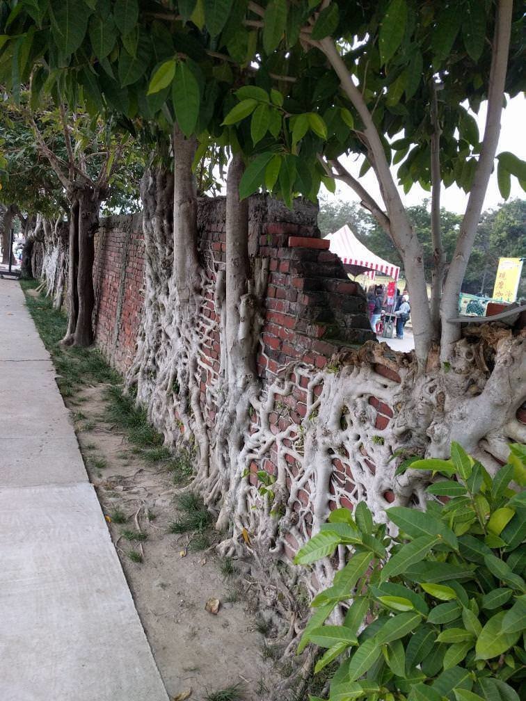 12 идей о том, каким может быть забор идеи