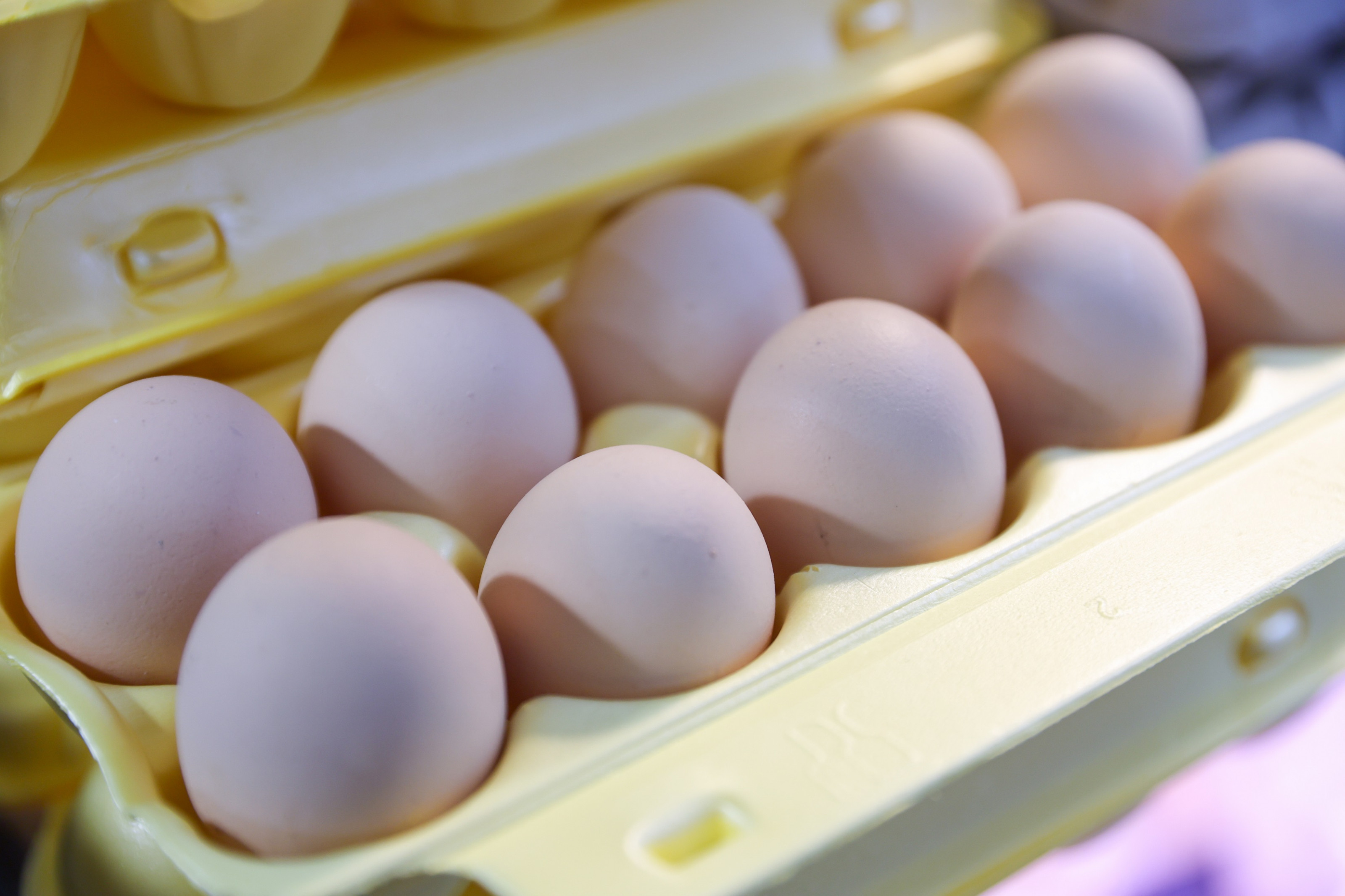 Опасные яйца, муку и творог нашли в Нижегородской области