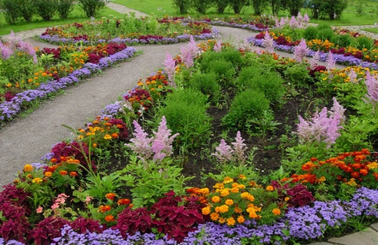 Клумбы для цветов фото " HD порно