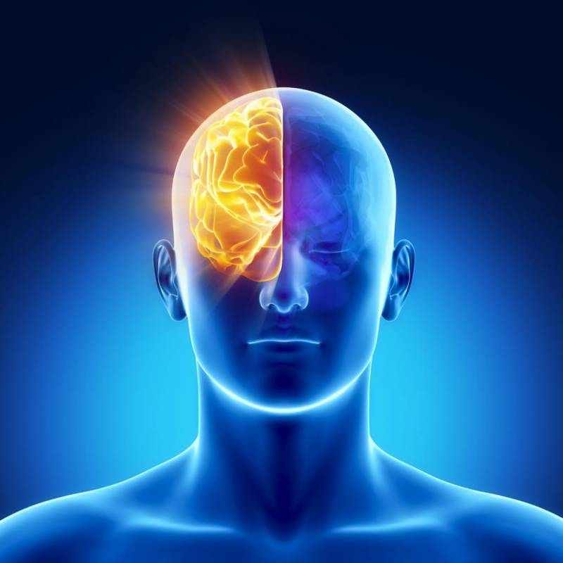 Нейропсихологическое обследование: процедура проведения, норма и отклонения