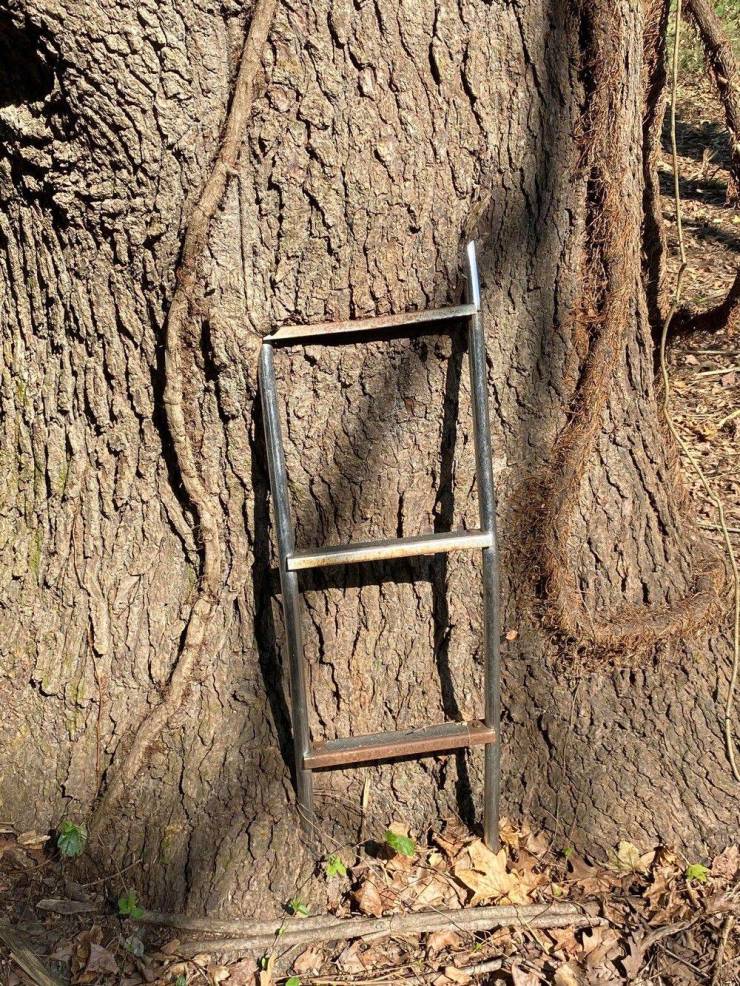 Подборка прикольных картинок  приколы,смешные картинки,юмор