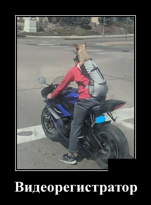 Классные и прикольные демотиваторы для веселого пятничного настроения Классные и прикольные демотиваторы для веселого пятничного настроения демотиваторы свежие,приколы,смешные демотиваторы,юмор