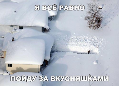 Свежие прикольные фотомемы