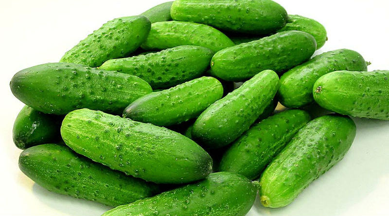 Топ-20 продуктов, сжигающих жиры и регулирующих обмен веществ
