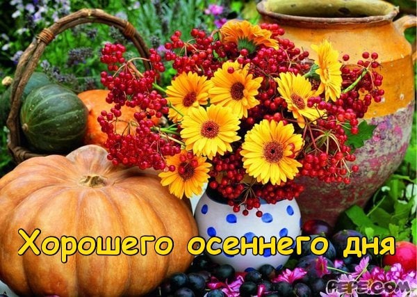 Думаю, что мы едва ли не последнее поколение, выросшее на натуральной здоровой пище... Думаю, что мы едва ли не последнее поколение, выросшее на натуральной здоровой пище... Истории из жизни,позитив,эту страну не победить