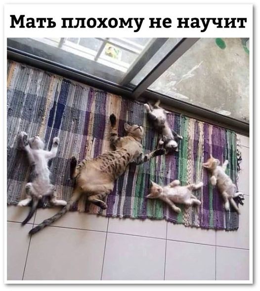 Юмор из интернета 610 Юмор из интернета 610 позитив,смех,улыбки,юмор