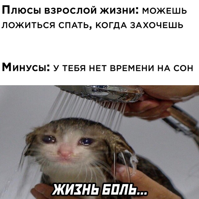 Подборка прикольных картинок  приколы,смешные картинки,юмор